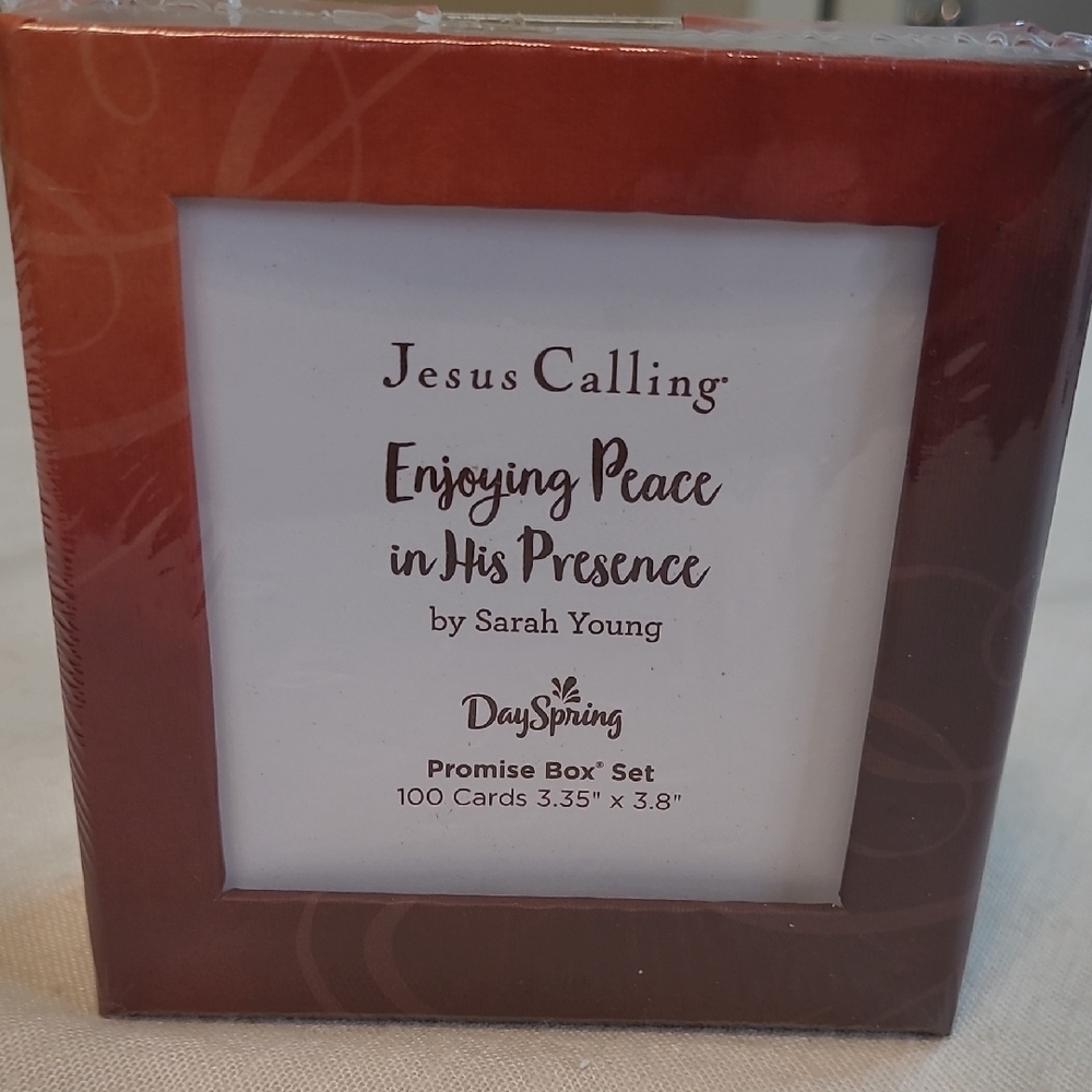 DaySpring Promise Box Set Of 100 Cards